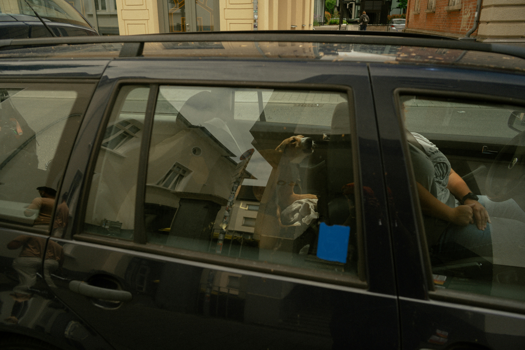 Auto wird draußen ohne Garage gereinigt