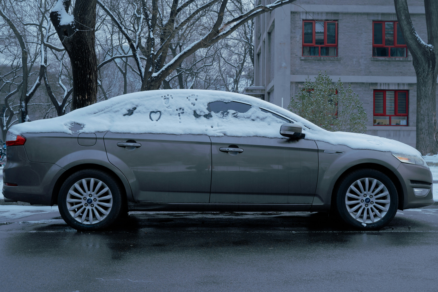 Autoscheibe wird im Winter bei Frost gereinigt